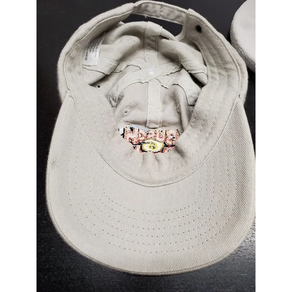 Autographed NASCAR Busch Series Dover‎ Downs Hat - READ